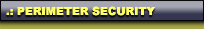 Perimeter Security